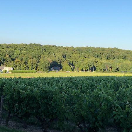 Vernou-sur-Brenne Gite De La Fontaine Bondree מראה חיצוני תמונה
